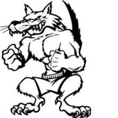 boeser_wolf.jpg