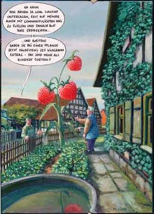 erdbeeren.jpg