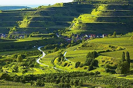 kaiserstuhlimschwarzwald.jpg