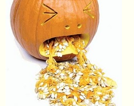 kurbixx.png