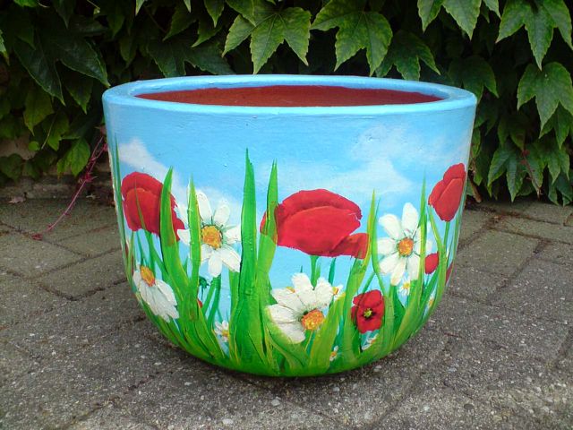 blumentopfmohn.jpg
