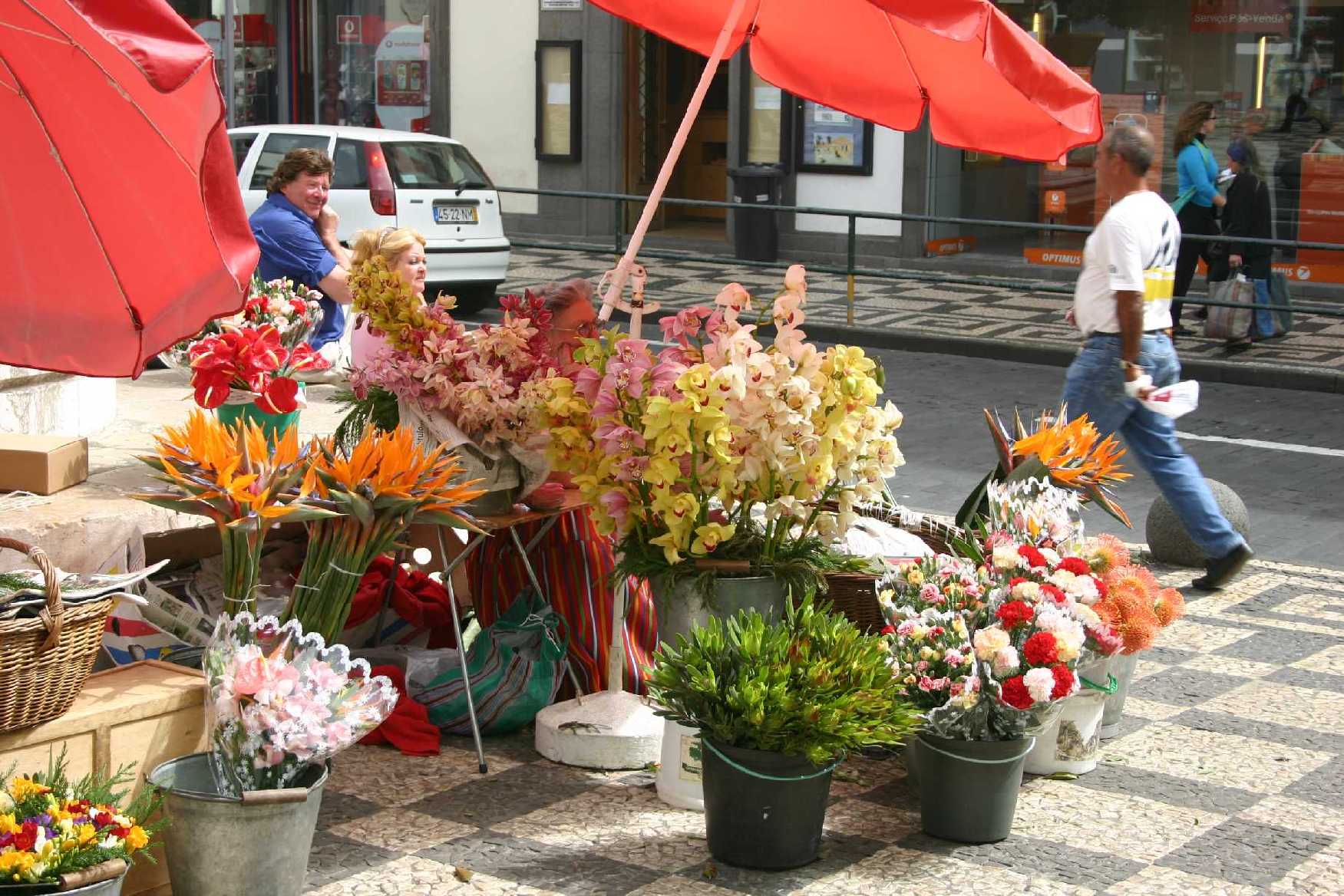 madeira_blumen.jpg