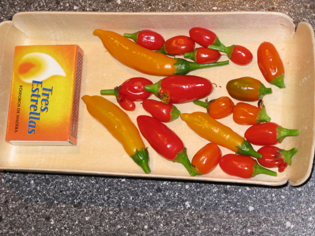 chilli.jpg
