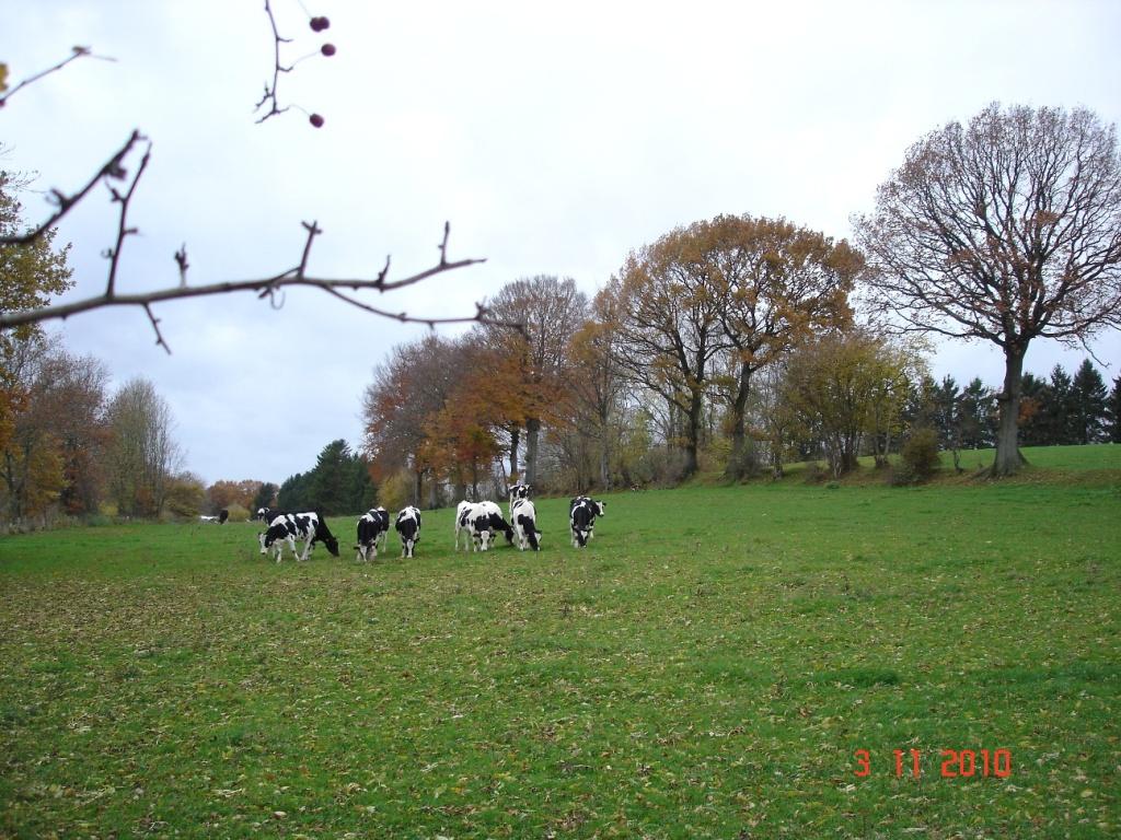 dsc06165.jpg