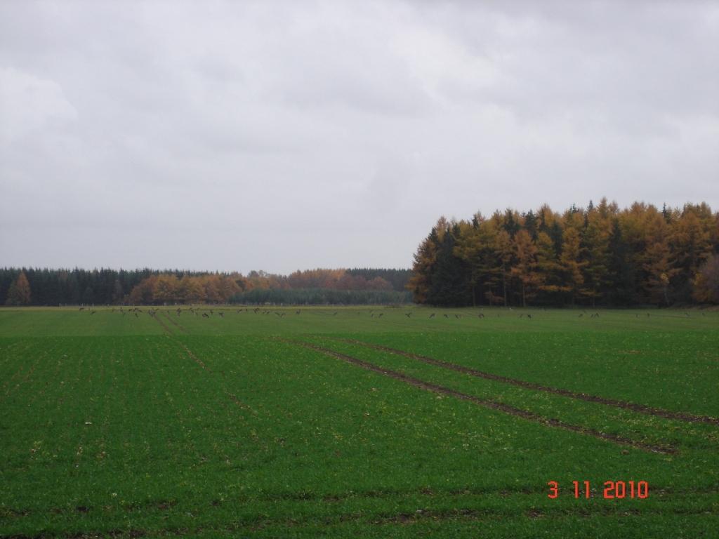 dsc06179.jpg