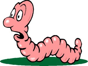 wurm.jpg