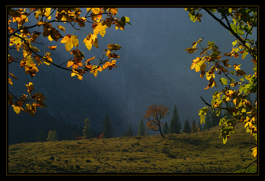 herbstgolt.jpg