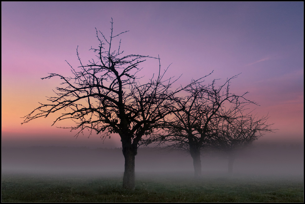 abendstimmung.jpg