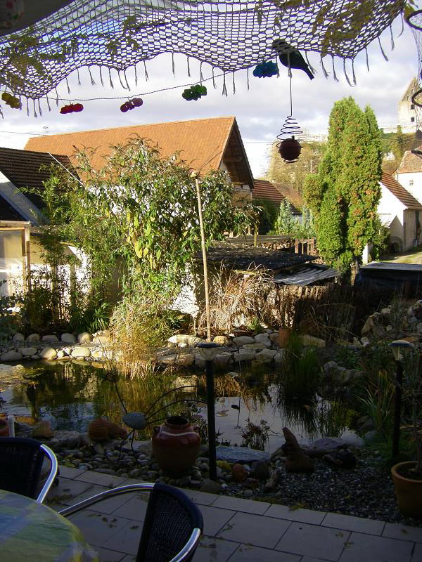 teich_im_garten_meiner_schwester_nr.jpg