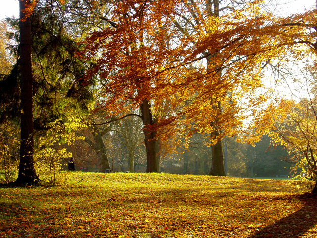 herbst.jpeg