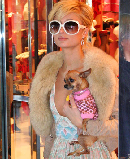 paris_hilton.jpg