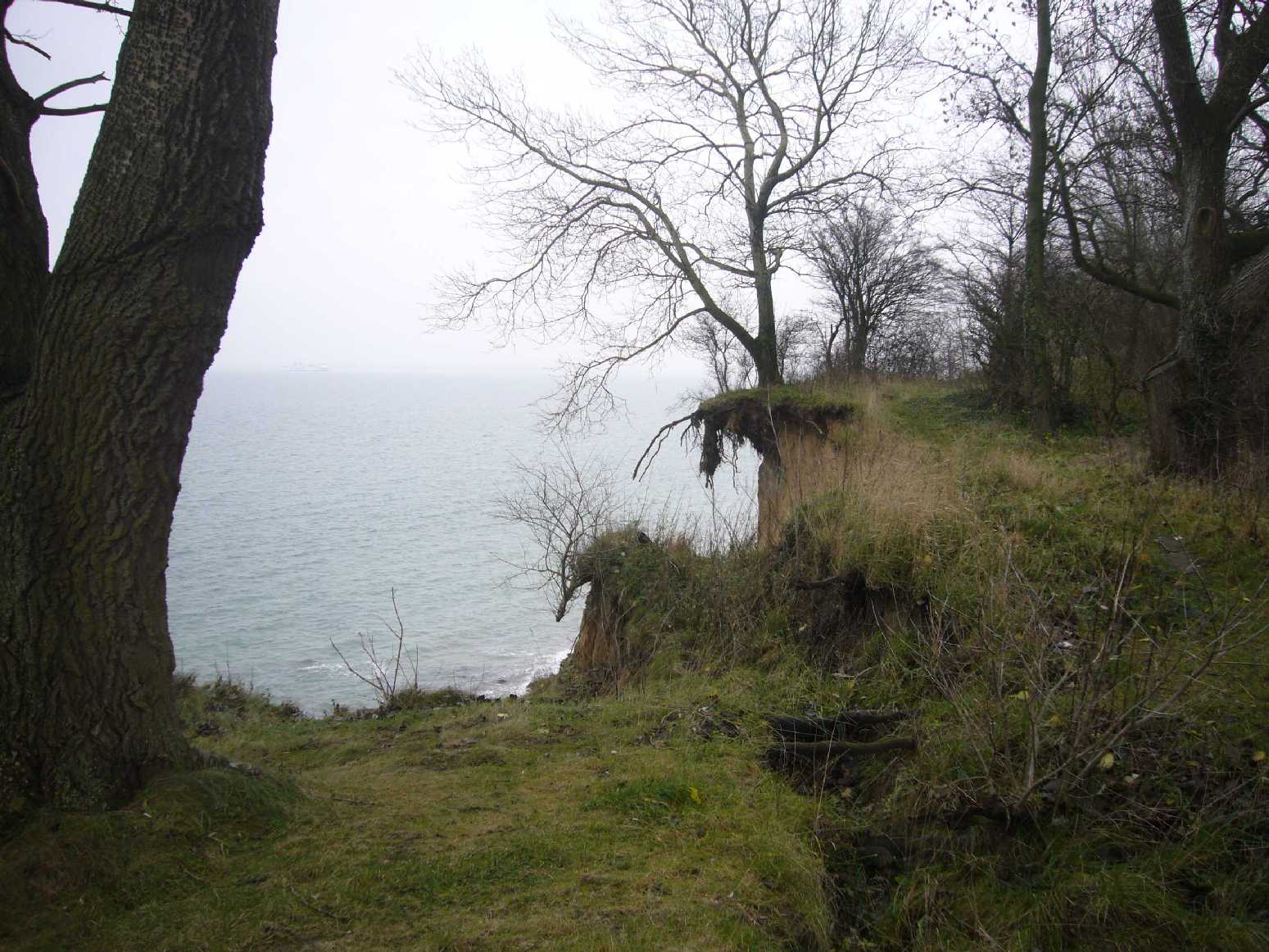 p1040102.jpg
