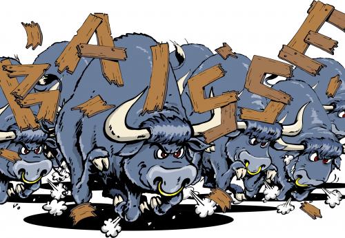 bullenherde.jpg