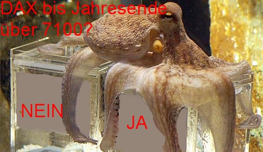 paul.jpg