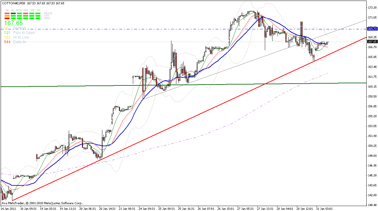 cotton-30_min-trendkannte-31-1.gif