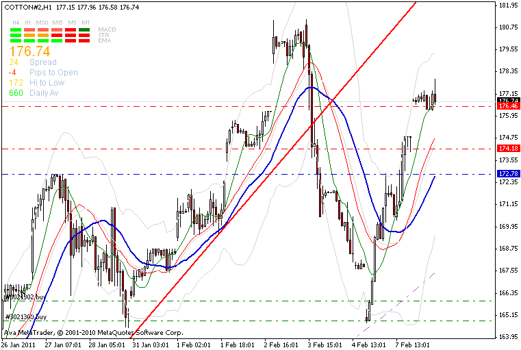 cotton-240_min-trend-kannte-8-2.gif