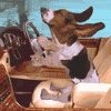 1882502_76_avatar.gif