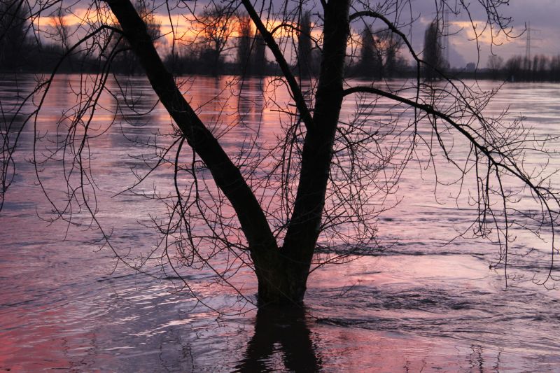 hochwasser.jpg