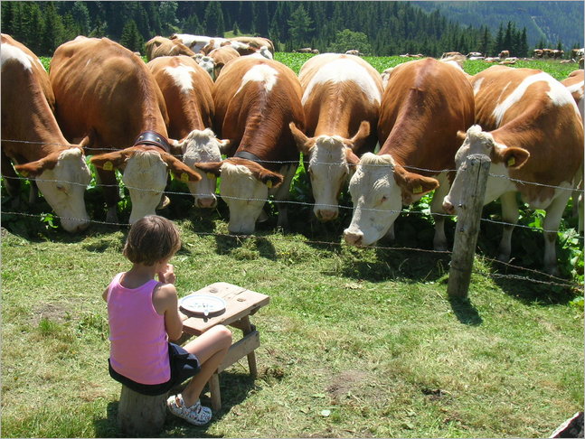 mahlzeit.jpg