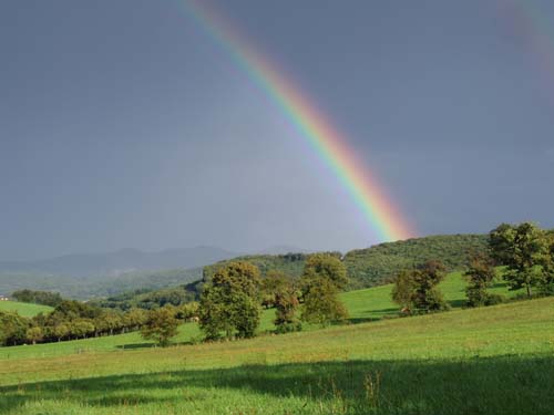 regenbogen1.jpg