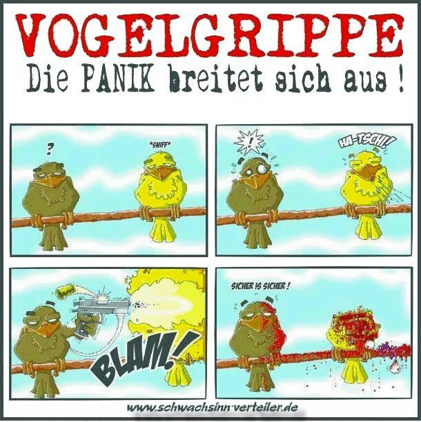 Vogelgrippe.jpg