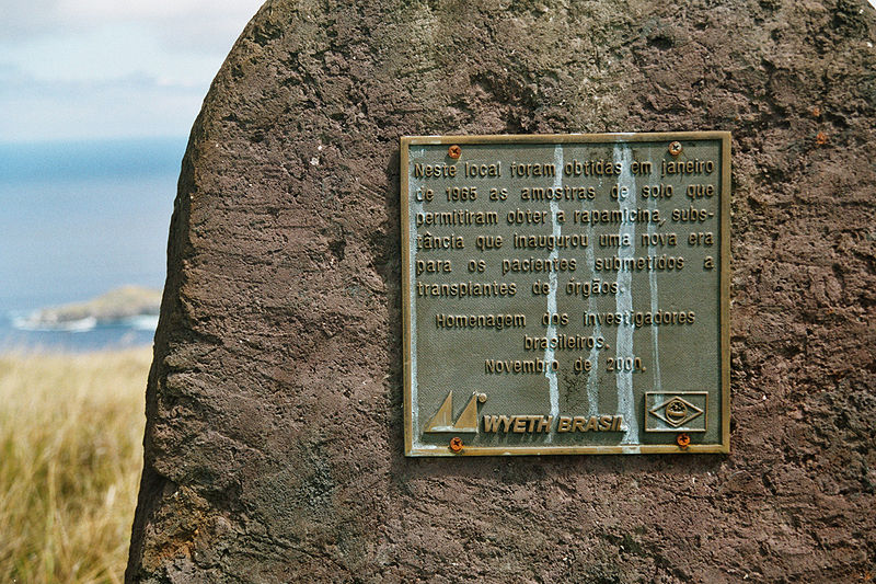 rapamycin_plaque_on_easter_island.jpg