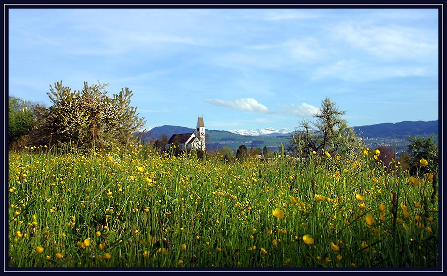 Natur_1.jpg