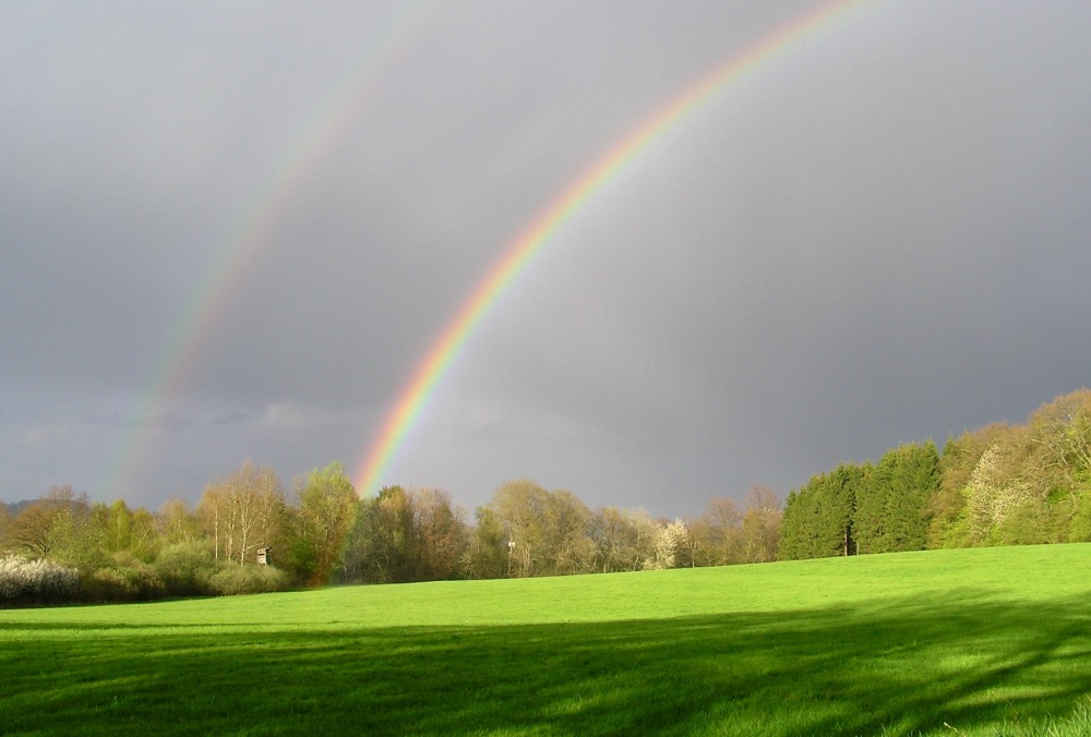 Natur_3.jpg