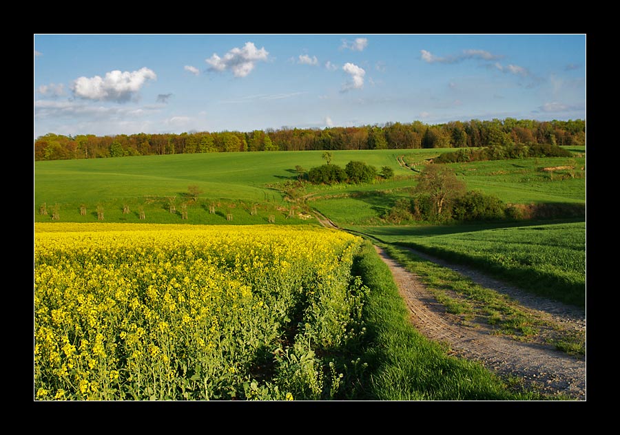 Natur_4.jpg