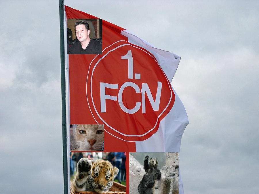 fcn2.jpg