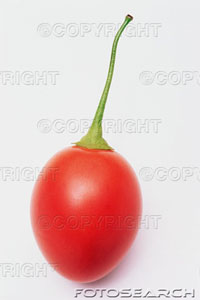 tamarillo.jpg