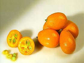 kumquat.jpg