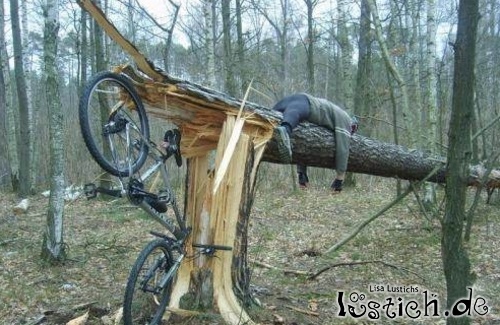 13971-fahrrad-gegen-baum.jpg