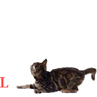 d7ecde6332d29e9e56b9f2a6fe95cf85.gif