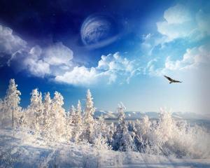 winter-wonderland-wallpaper-pac-3.jpg