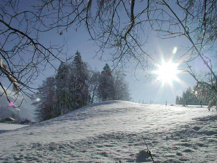 schneelandschaft.jpg