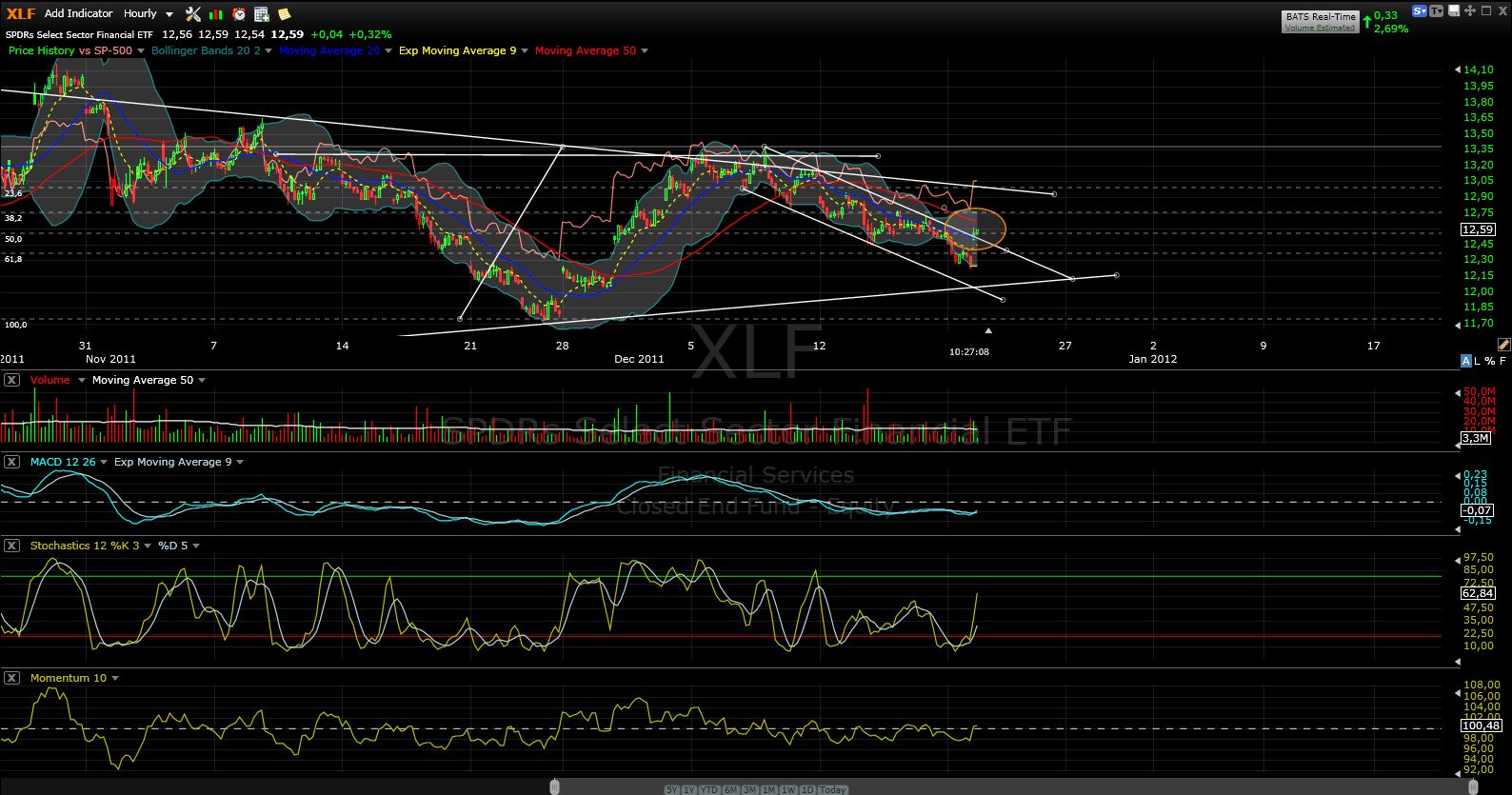 xlf.jpg