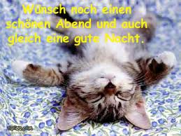 gute_nacht_katze.jpg