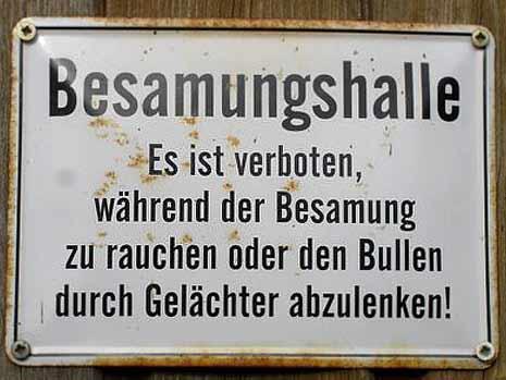 besamungshalle.jpg