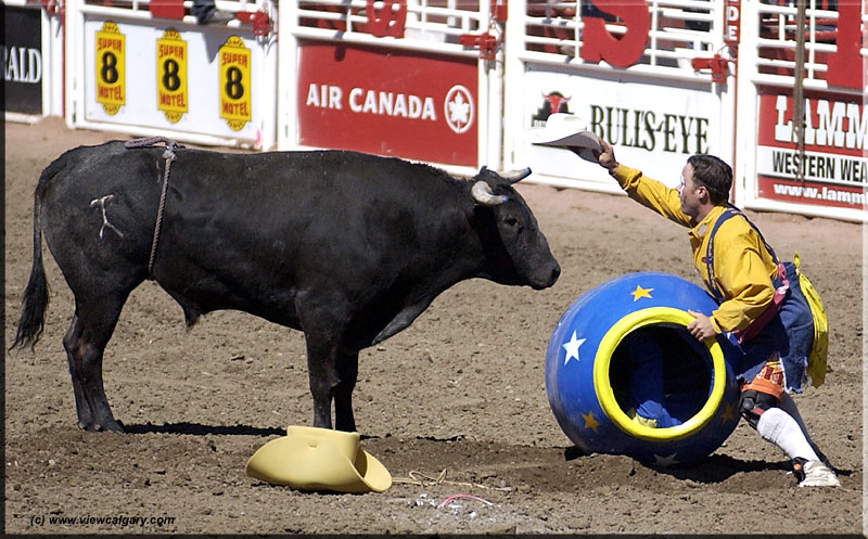 bullclown1.jpg