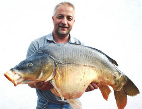 dicker_fisch.jpg