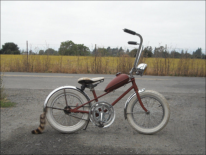 bicycles-11.jpg