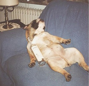 bb_jorja_schnaps.jpg