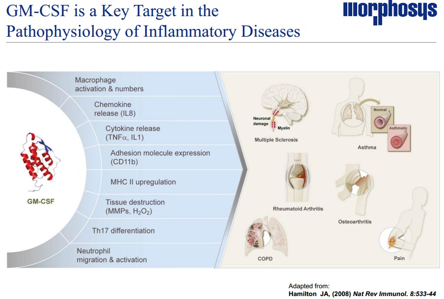201203_gm-csf.jpg