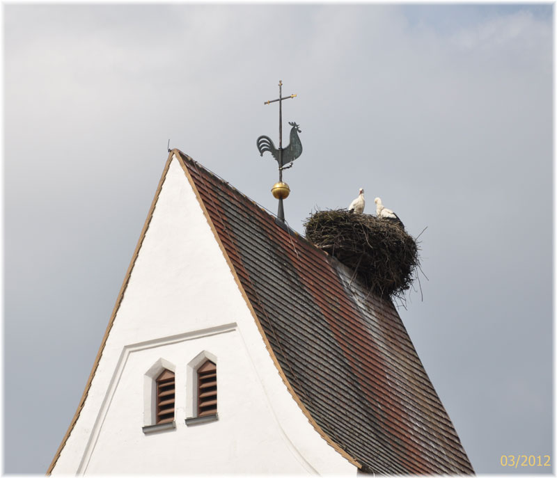 storch_spotter.jpg