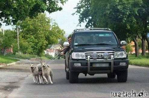 hund.gif