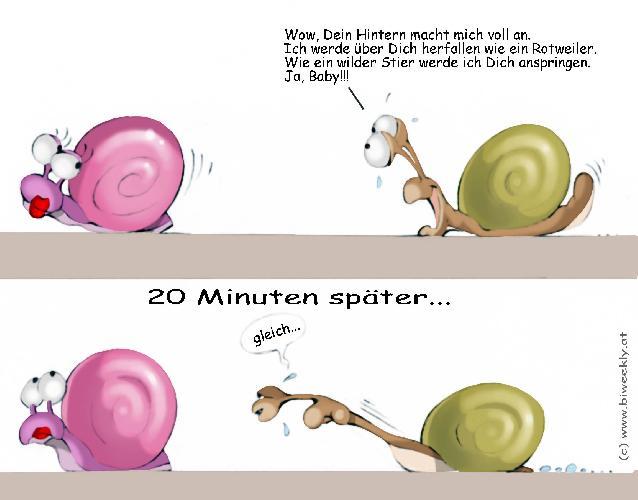 geile_schnecke.jpg