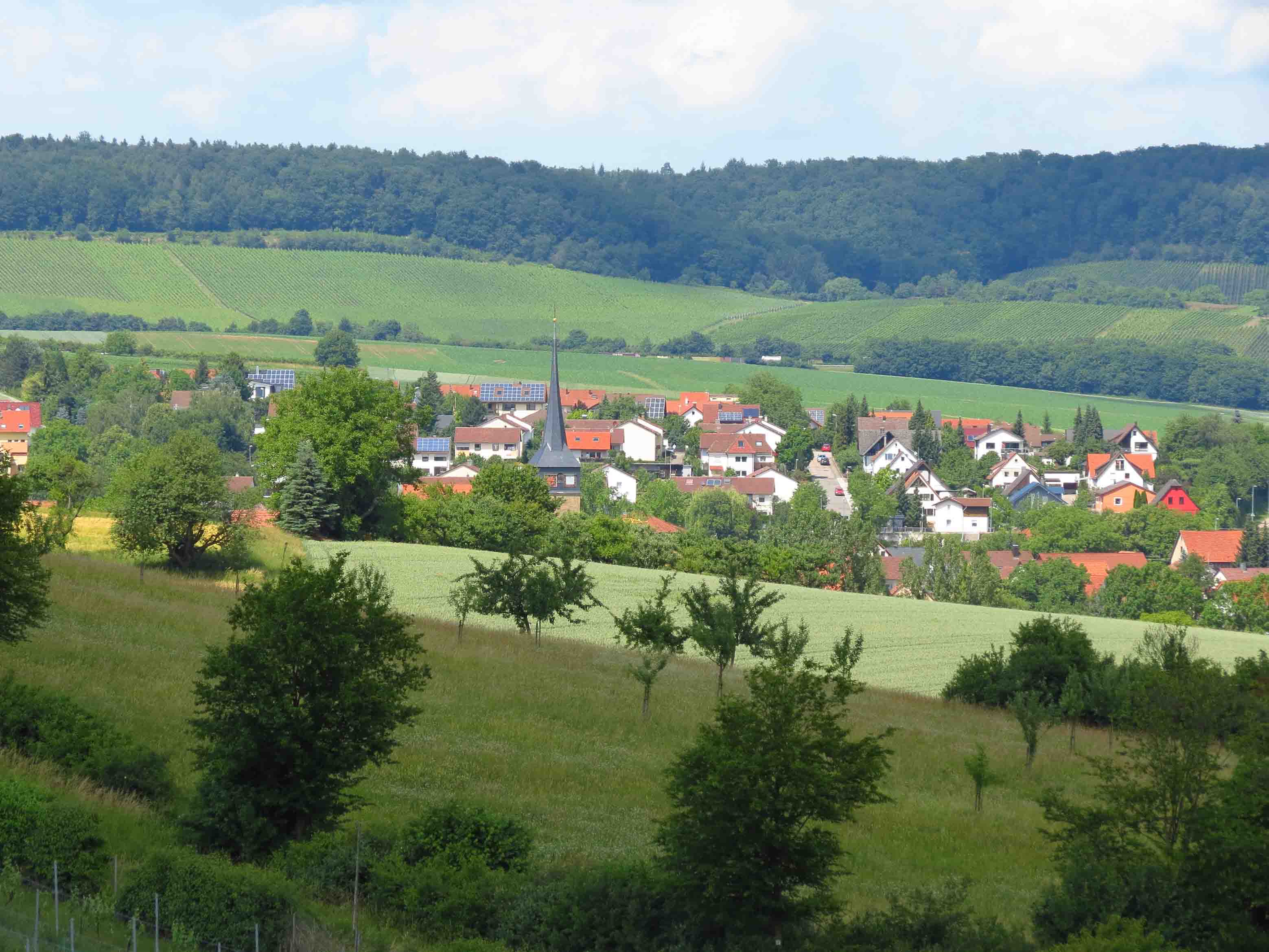 detail-loewnsteiner_berge.jpg