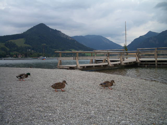 Schliersee.jpg