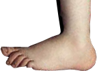 Python-Foot.png